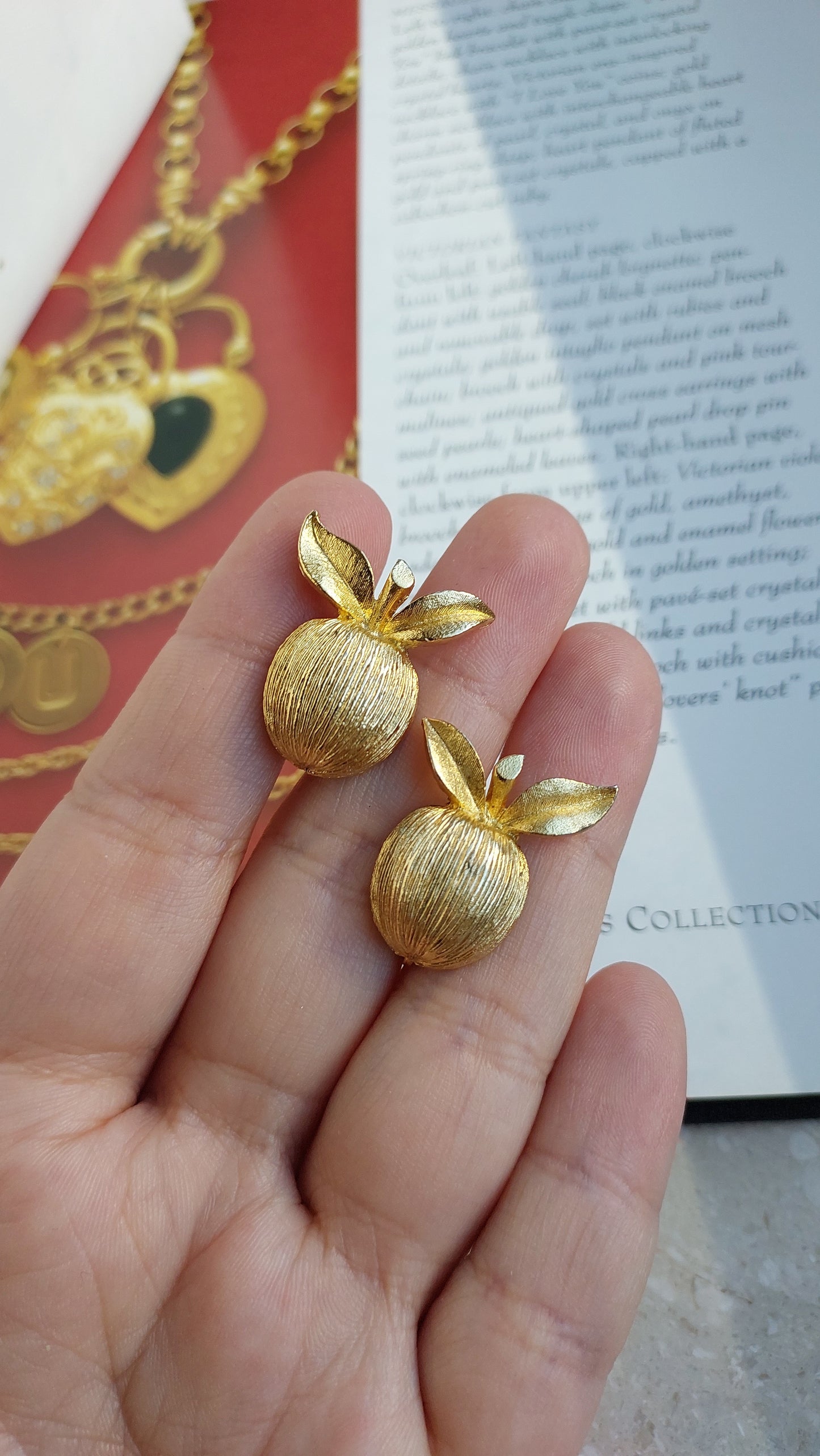 Klipsy Sarah Coventry