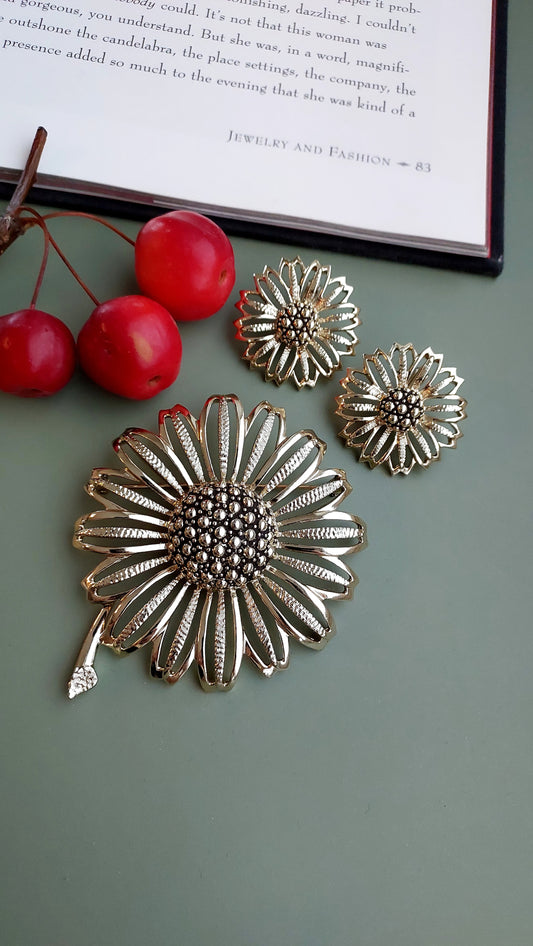 Zestaw Sarah Coventry